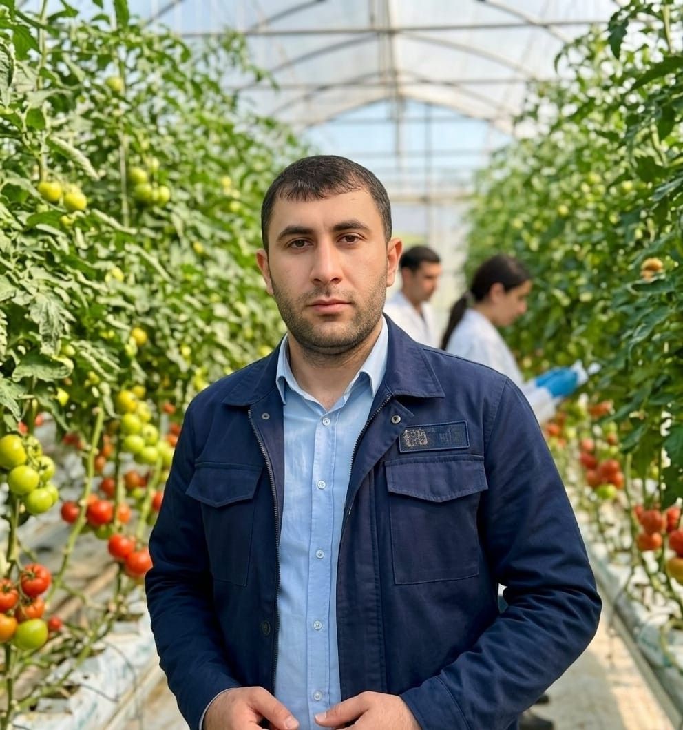 Əhmedov Firdovsi Tarif